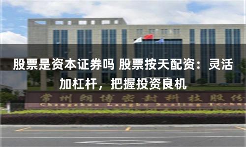 股票是资本证券吗 股票按天配资：灵活加杠杆，把握投资良机