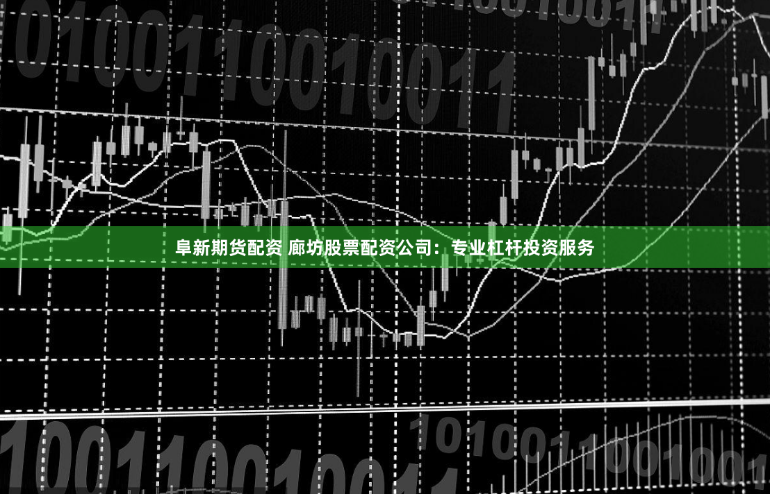 阜新期货配资 廊坊股票配资公司:专业杠杆投资服务