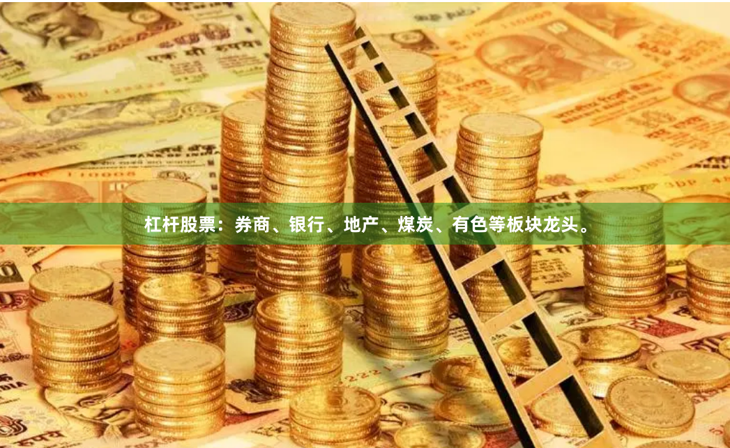 杠杆股票：券商、银行、地产、煤炭、有色等板块龙头。