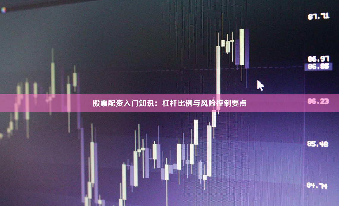 股票配资入门知识：杠杆比例与风险控制要点